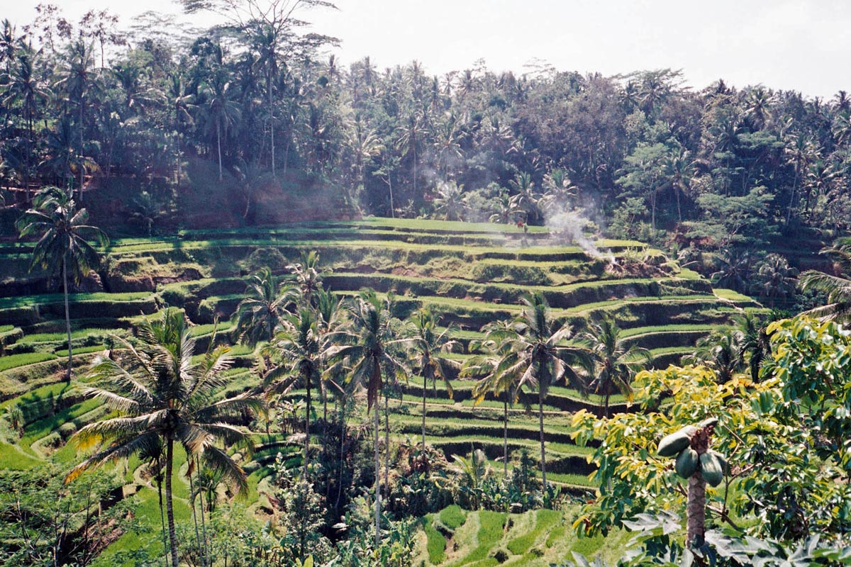 Indonesie Ilk Flottante