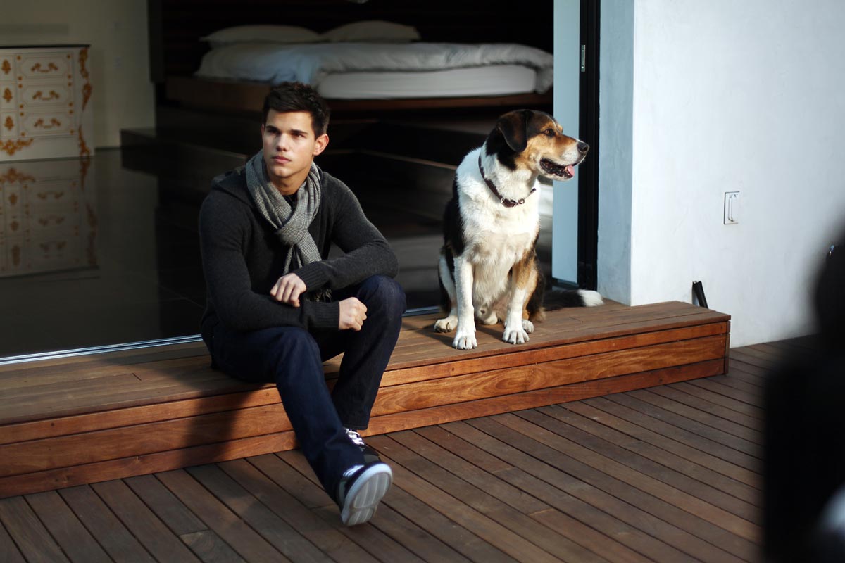 Taylor Lautner Orange Los Angeles Ilk