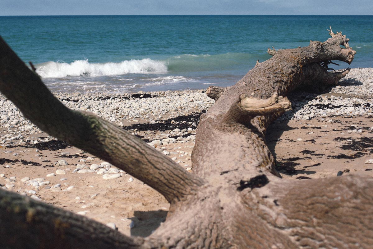 Ilk Oleron