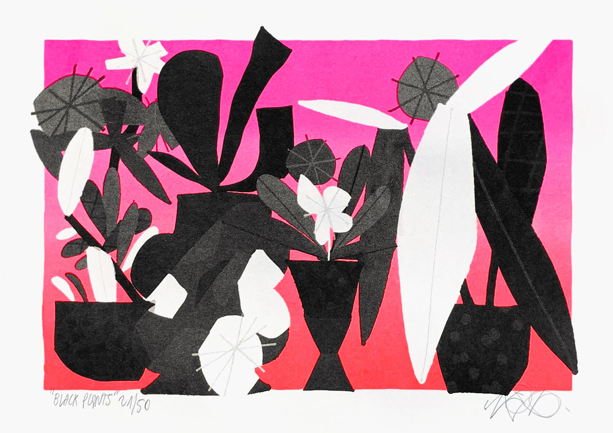 Ilk Black Plants