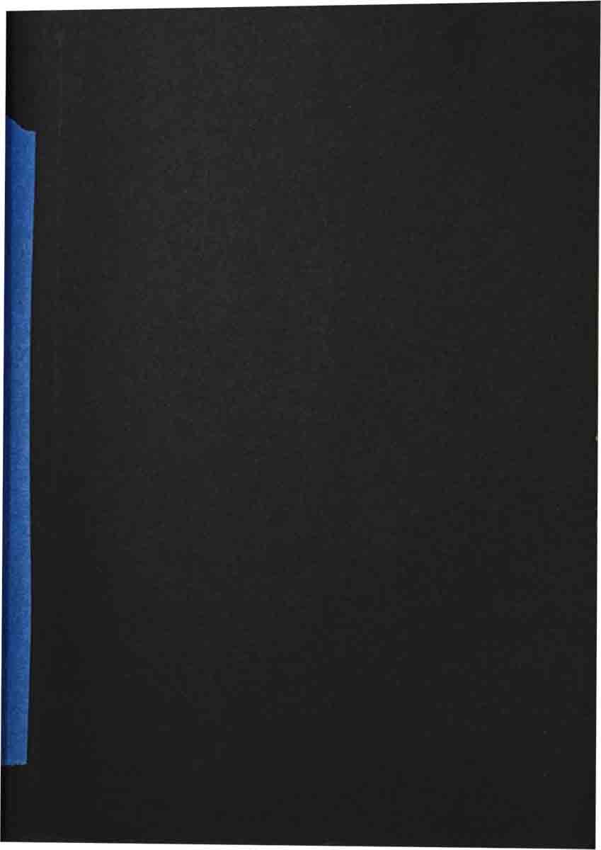 Cahier 01 Dessins Ludovilk Myers 0001 Calque 50 Copie 2