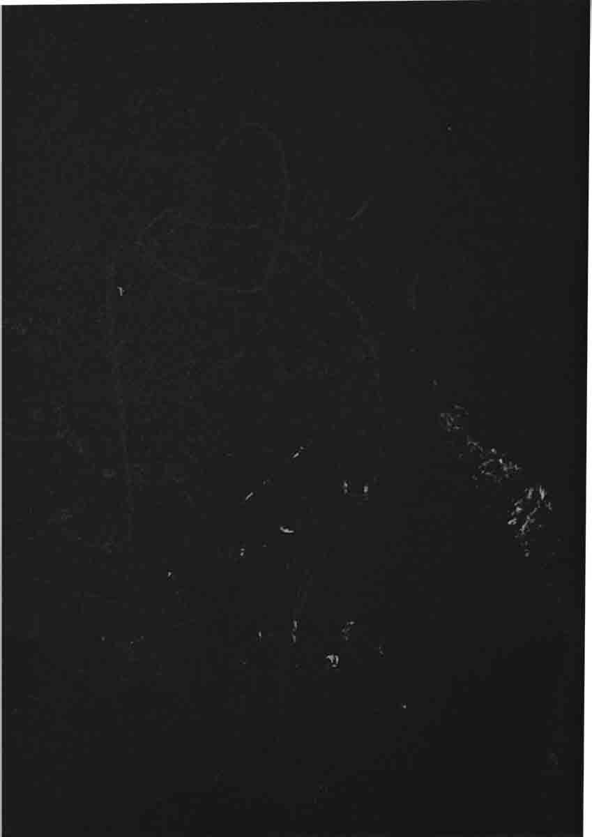 Cahier 01 Dessins Ludovilk Myers 0056 Calque 50 Copie